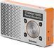 Радіоприймач Technisat DigitRadio 1 Silver-Orange 411685 фото 4